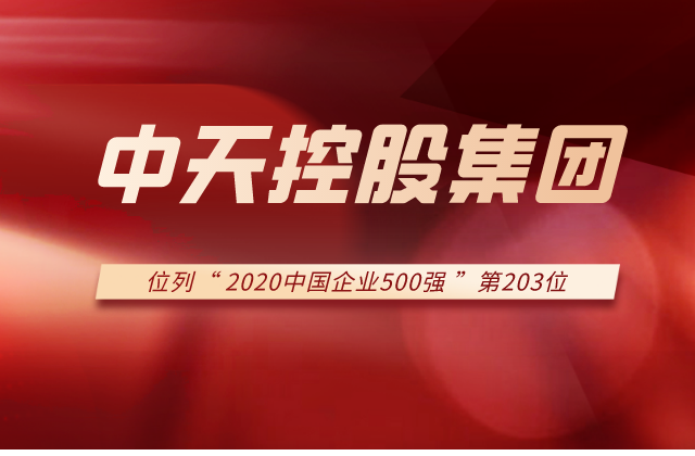 918搏天堂集团列2020中国企业500强第203位！